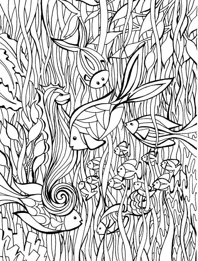 Online coloring pages coloring page fish in seaweed fish download print coloring page