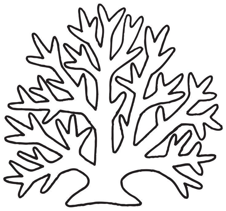 Algae clipart clipart panda