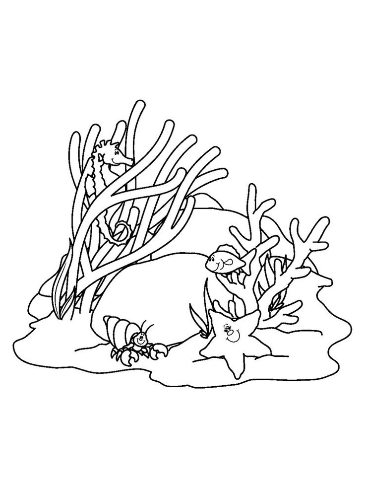 Explore the beauty of seaweed with free printable coloring pages