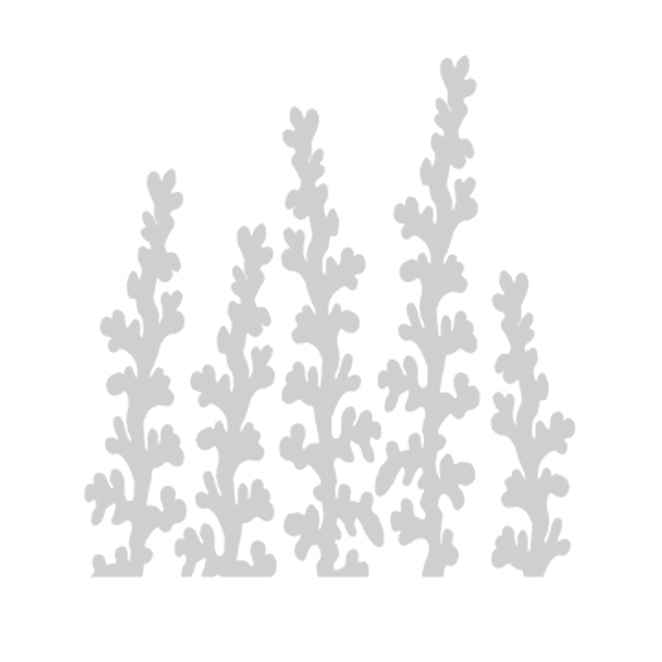 Seaweed stencils