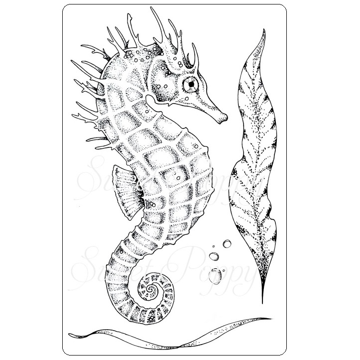 Sweet poppy stencil a stamp seahorse