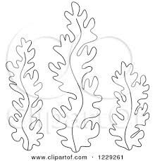 Seaweed coloring pages ocean crafts drawings