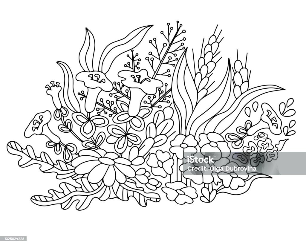 Wildflowers leaves and berries beautiful bouquet botanical position coloring books for adults and children hand drawn vector line art plant ornaments are good for web print and stencil stock illustration