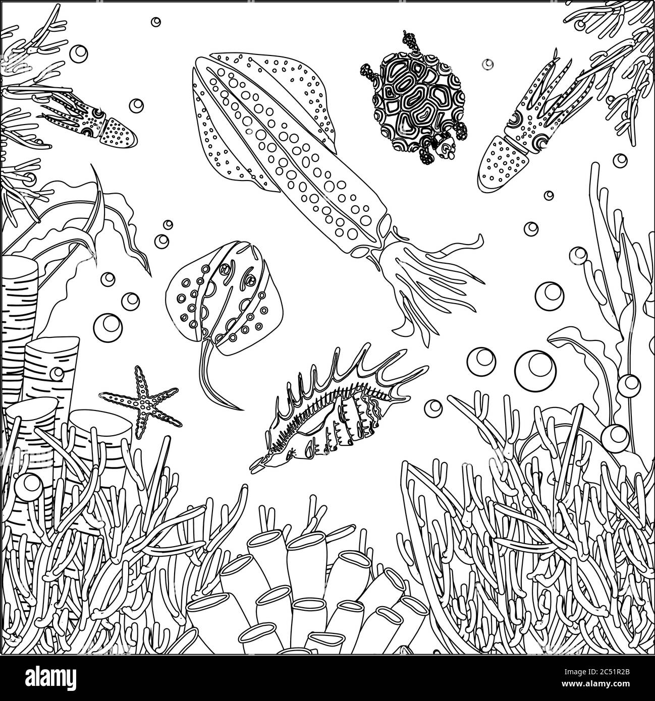 Cartoon illustration sea plant coral black and white stock photos images