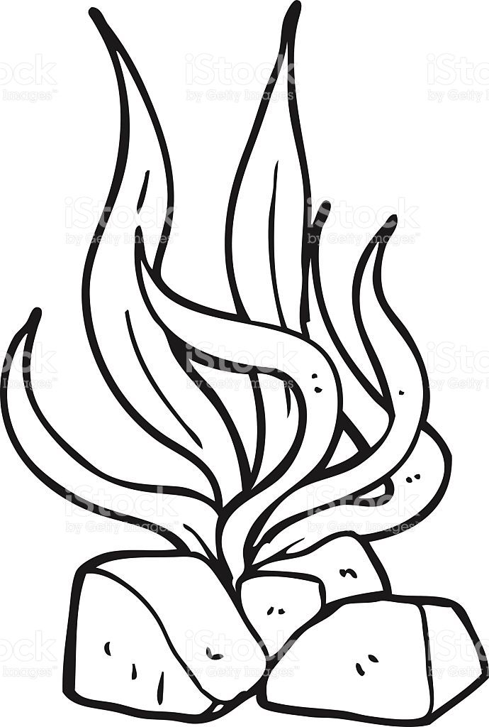 Freehand drawn black and white cartoon seaweed black and white cartoon coloring pages shell drawing