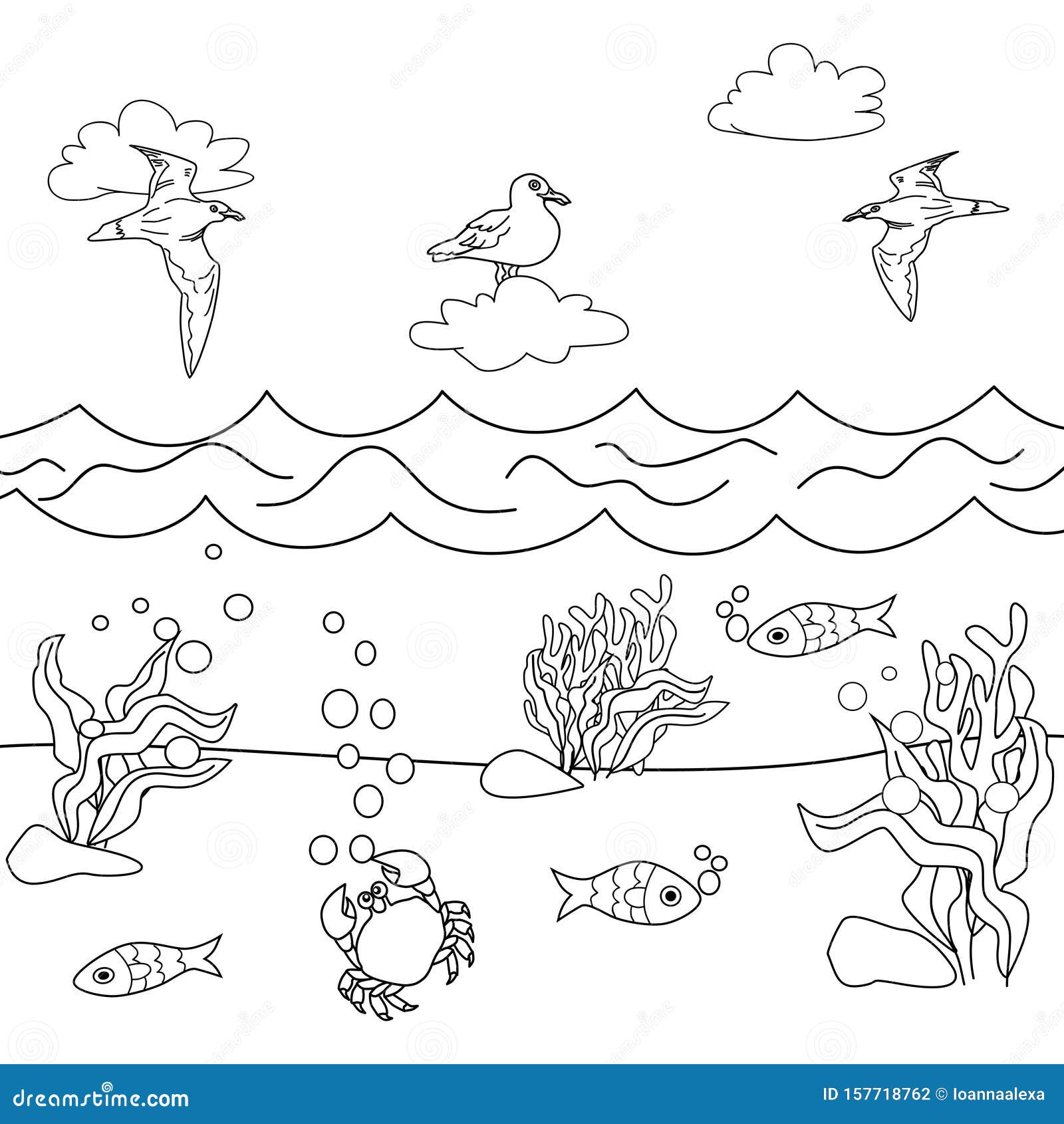 Black white seaweed stock illustrations â black white seaweed stock illustrations vectors clipart