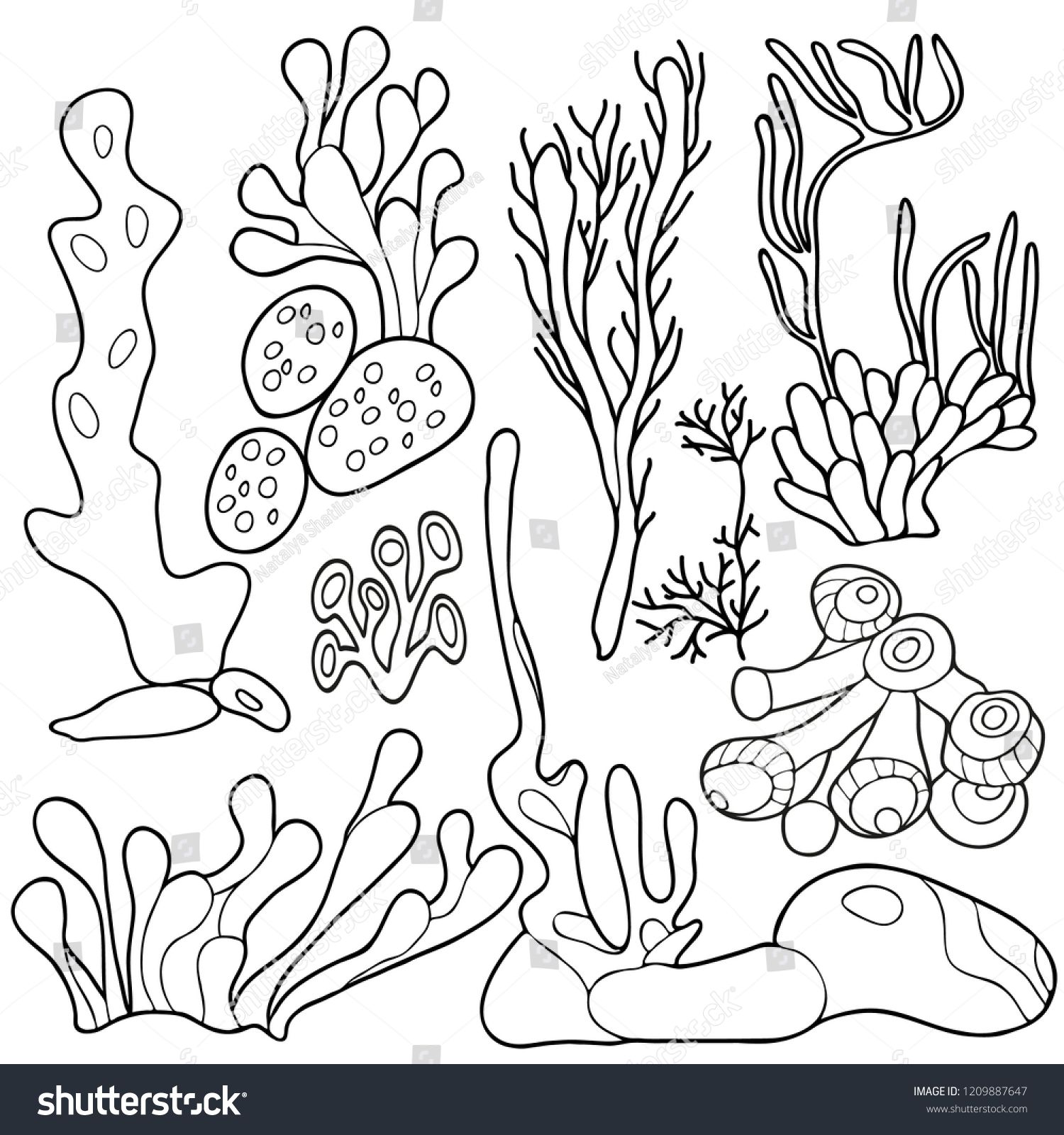 Coloring book children adults set seaweed stock vector royalty free