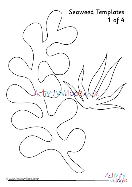 Seaweed templates