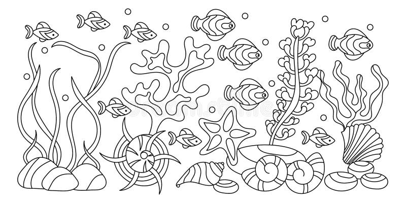 Underwater world coloring pages algae fish shells stock vector