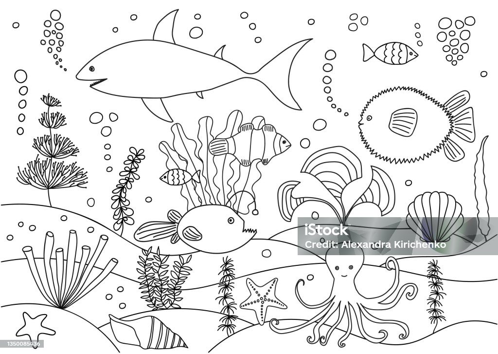 Sea life coloring page shark fish algae plants stock illustration
