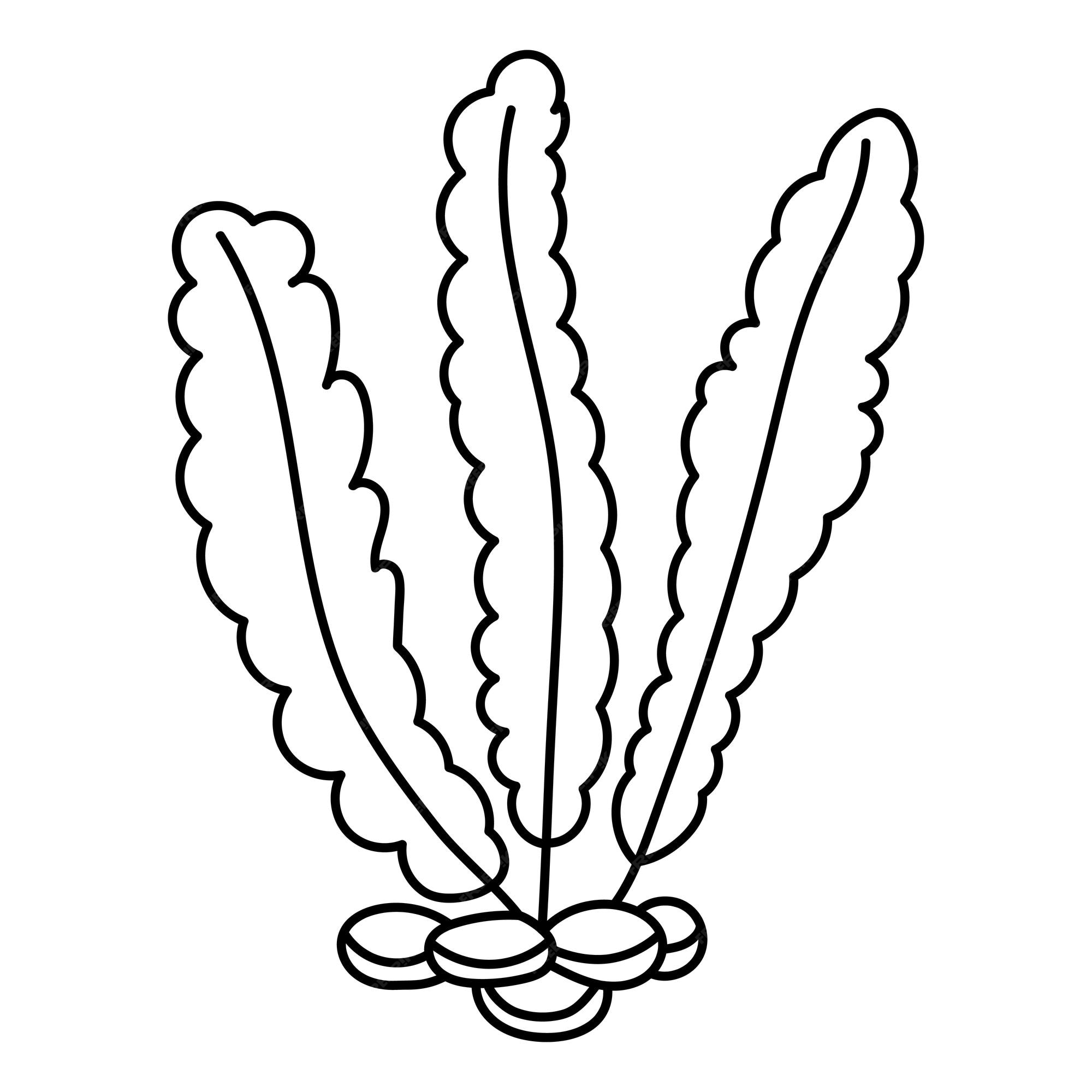 Premium vector cartoon sea objects with seaweed and coral outlined for coloring page isolated on white background