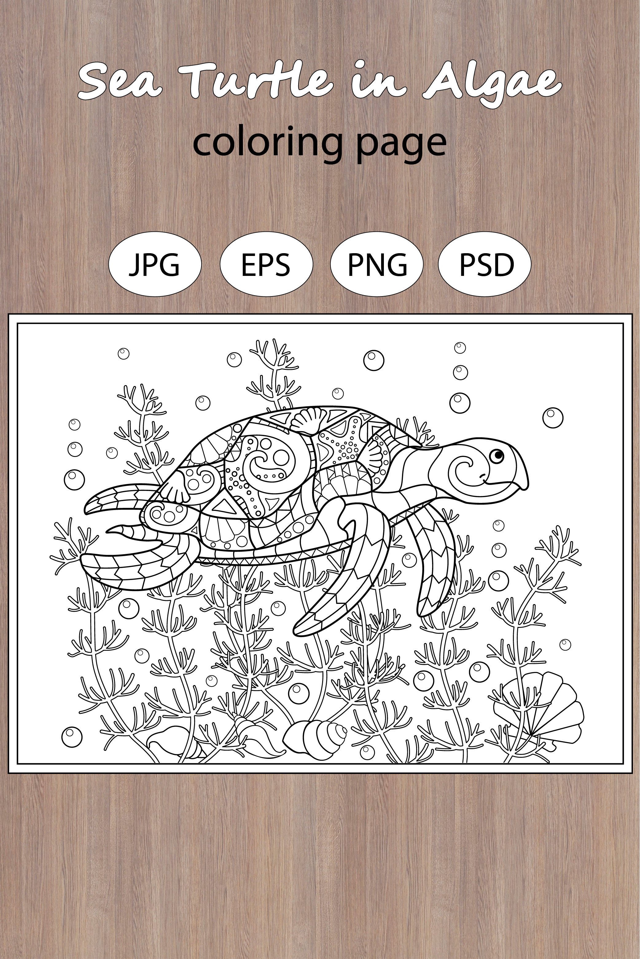 Sea turtle in seaweed