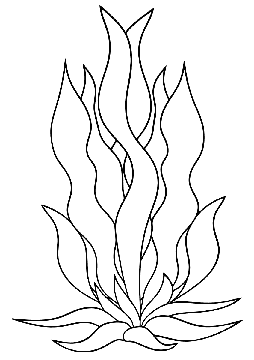 Seaweed coloringway sketch coloring page coloring pages coral reef drawing colouring pages