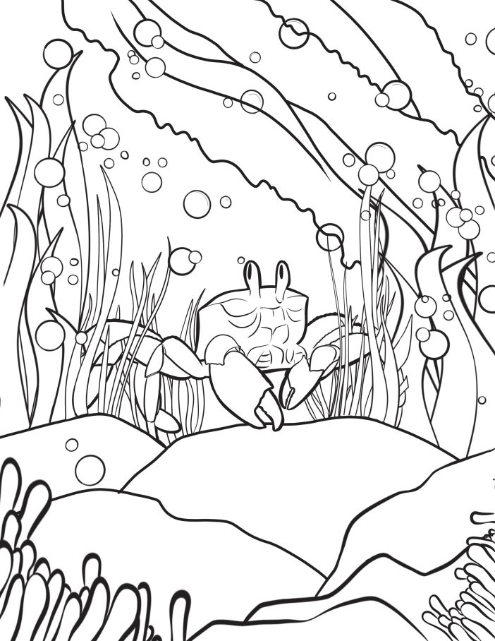 Halle bailey the little mermaid coloring pages