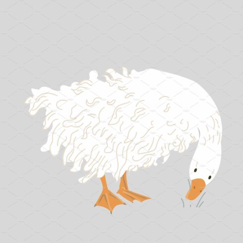 Cute sebastopol goose cartoon â