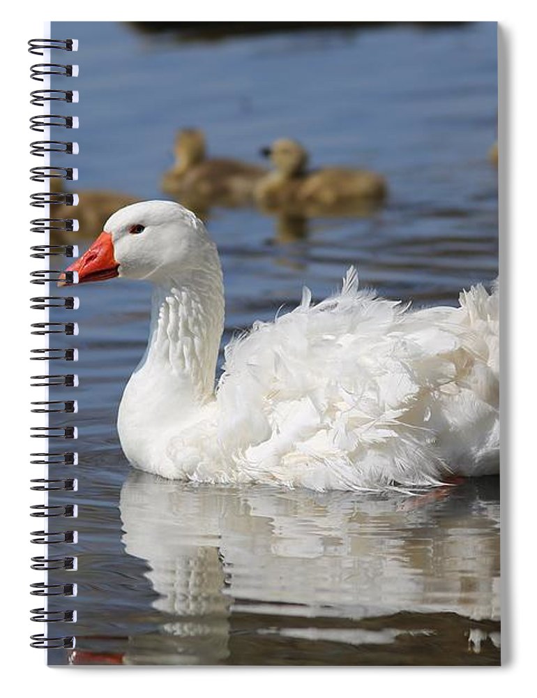 Beautiful sebastopol goose spiral notebook by lynn hopwood
