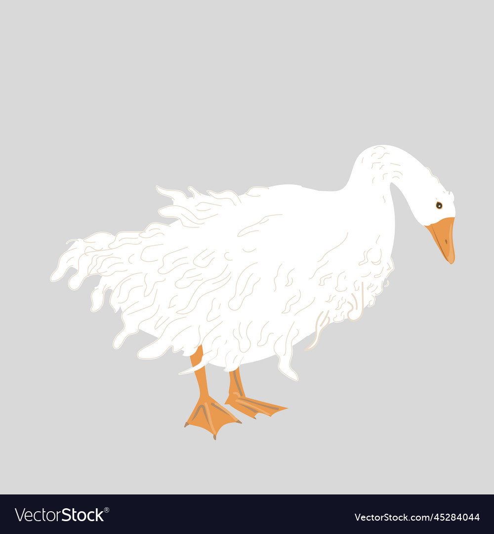 Cute sebastopol goose cartoon royalty free vector image