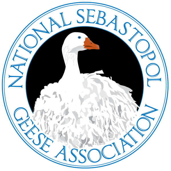 Genetic color charts â national sebastopol geese association