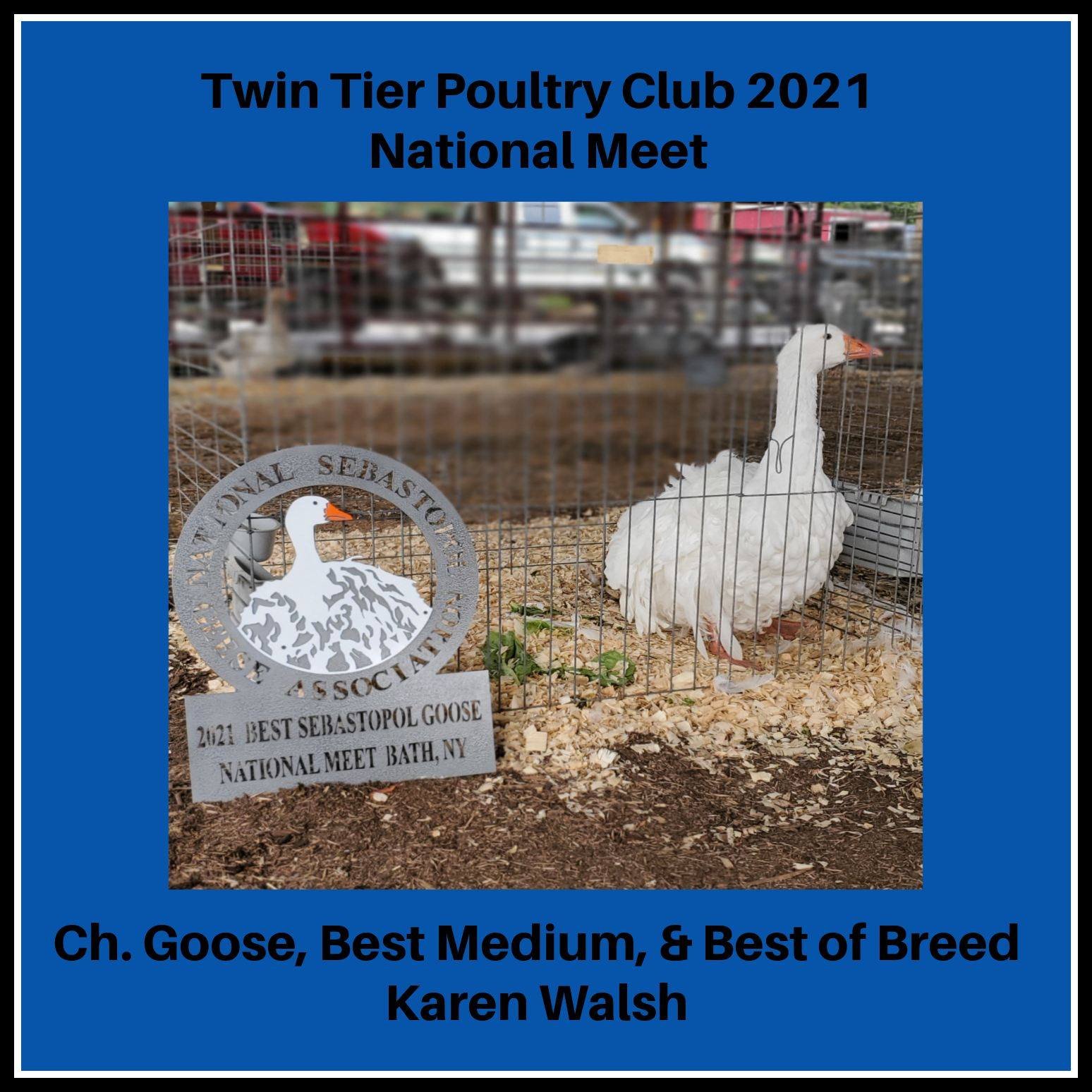 Education training for show â national sebastopol geese association