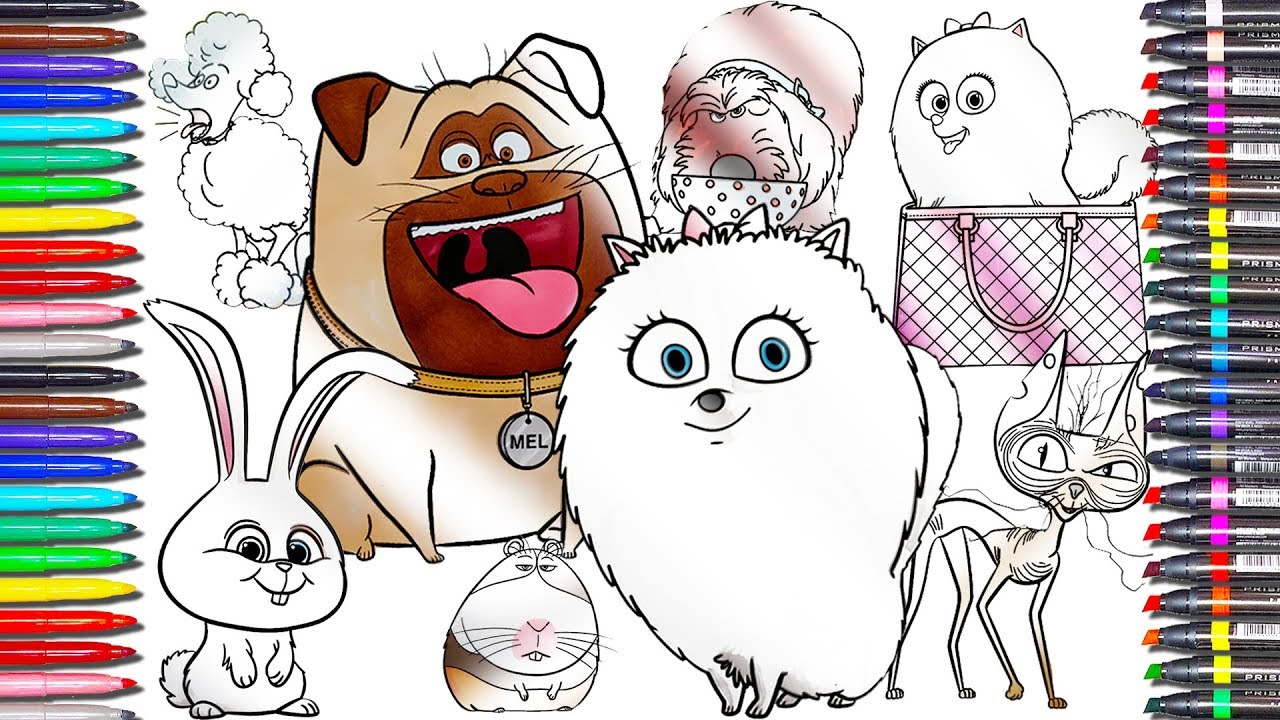 The secret life of pets color pageduke gidget snowball step by step drawing coloring for kids