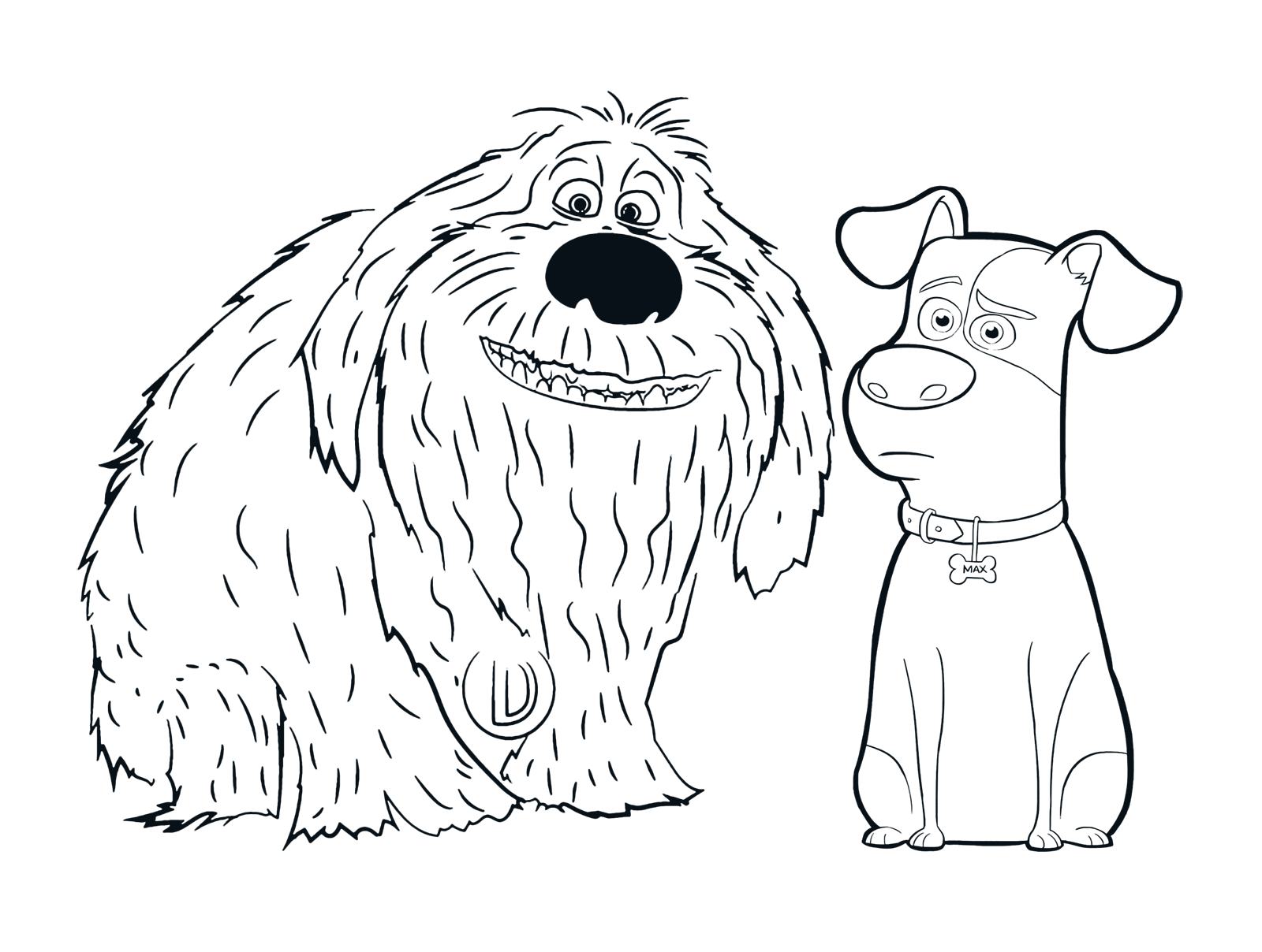 The secret life of pets