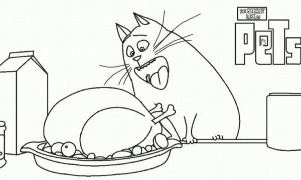 The secret life of pets coloring pages