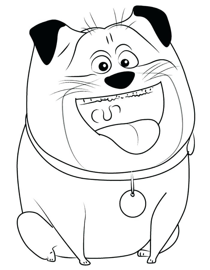 The secret life of pets coloring pages