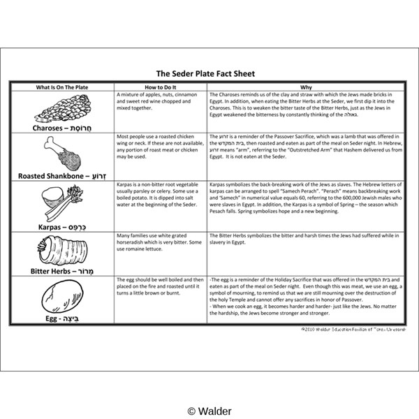 Seder plate fact sheet walder education