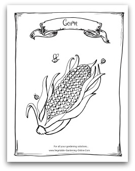 Free vegetable garden coloring books