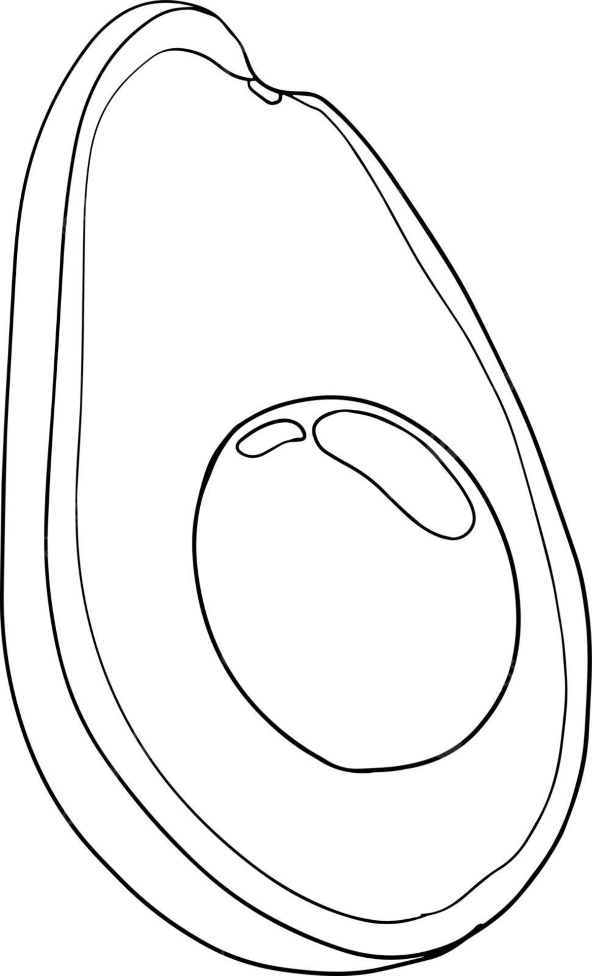 Seed coloring page png transparent images free download vector files