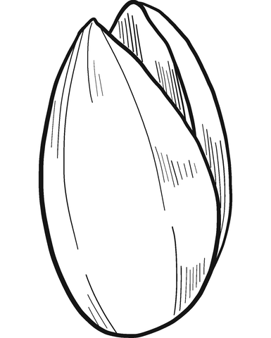 Pistachio coloring page free printable coloring pages