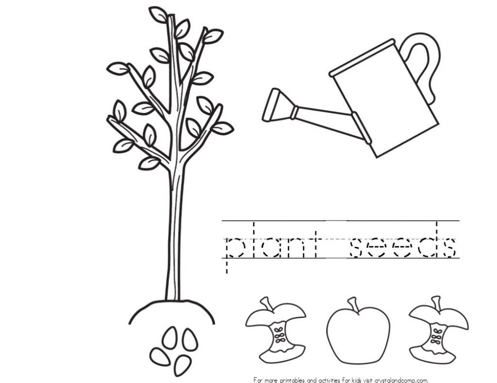 Kid color pages johnny appleseed coloring pages fruit coloring pages coloring for kids