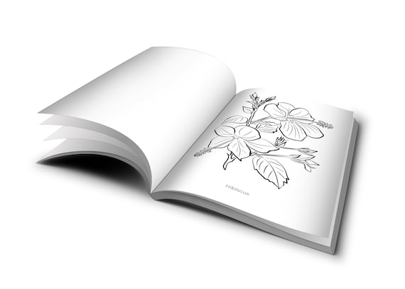 Medicinal herb plant coloring book herb garden coloring pages medicinal plants garden seed coloring books garden gifts under