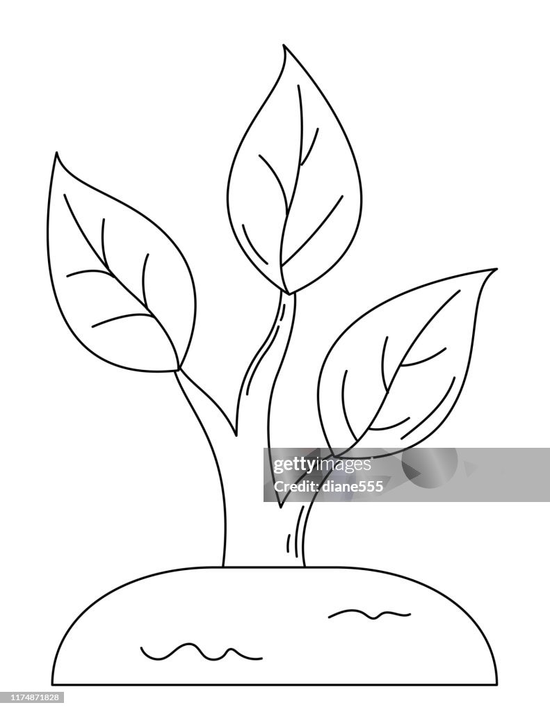 Cute childrens farm coloring book page seedling high