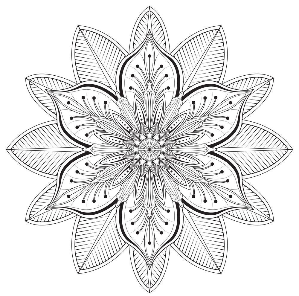 Pin on coloring wheel