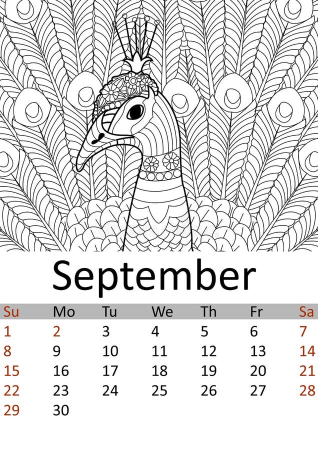 Calendar september month antistress coloring bird peacock with a tail wild animal patterns stock illustration