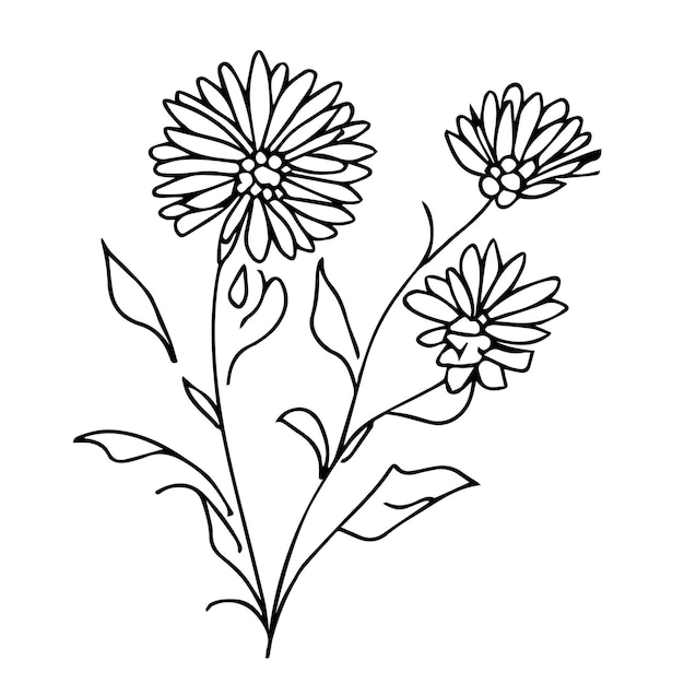 Premium vector aster flower tattoo design september birth wall painting hand draw aster flower coloring sheets