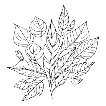 Premium vector hello september autumn fall vector art handdrawn illustration natural leaf collection