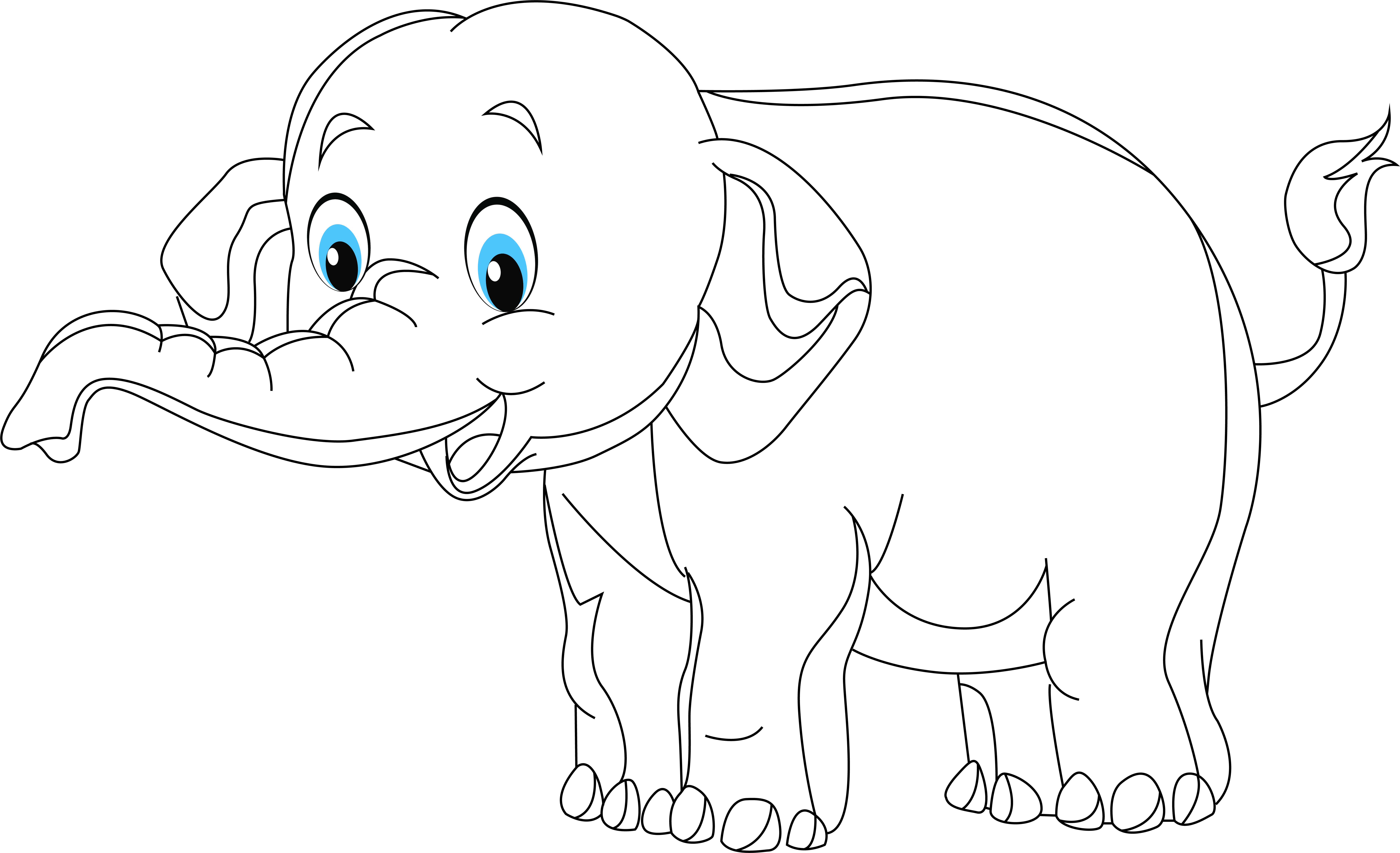 Fileelephant coloring pagejpg