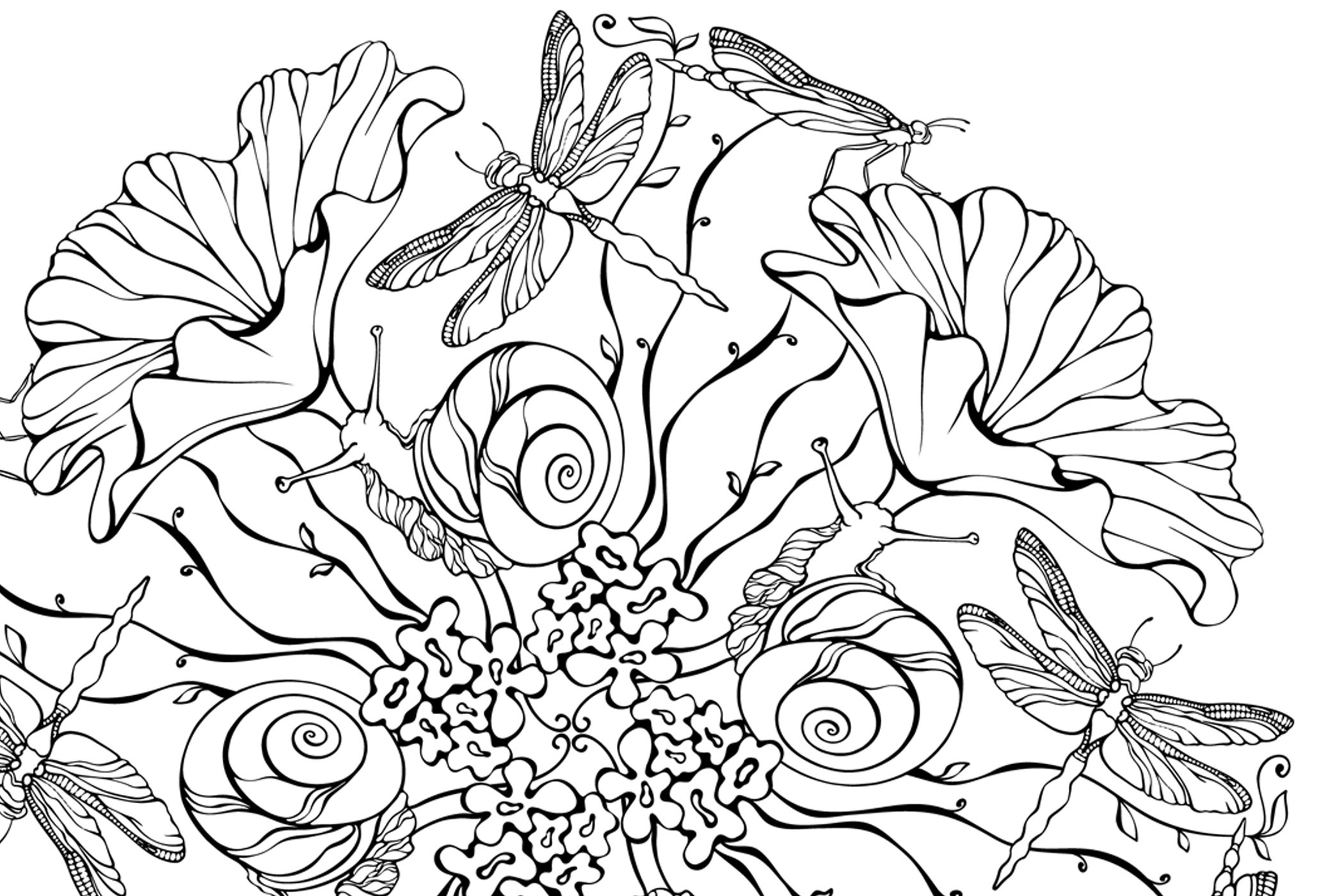 Secret garden coloring page printable adult