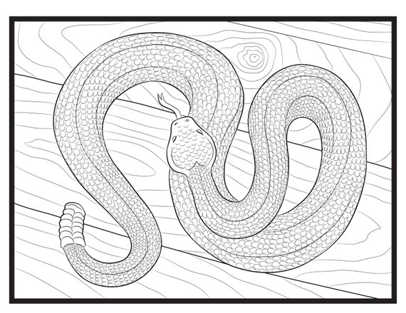 Serpiente pãgina ãºnica para colorear