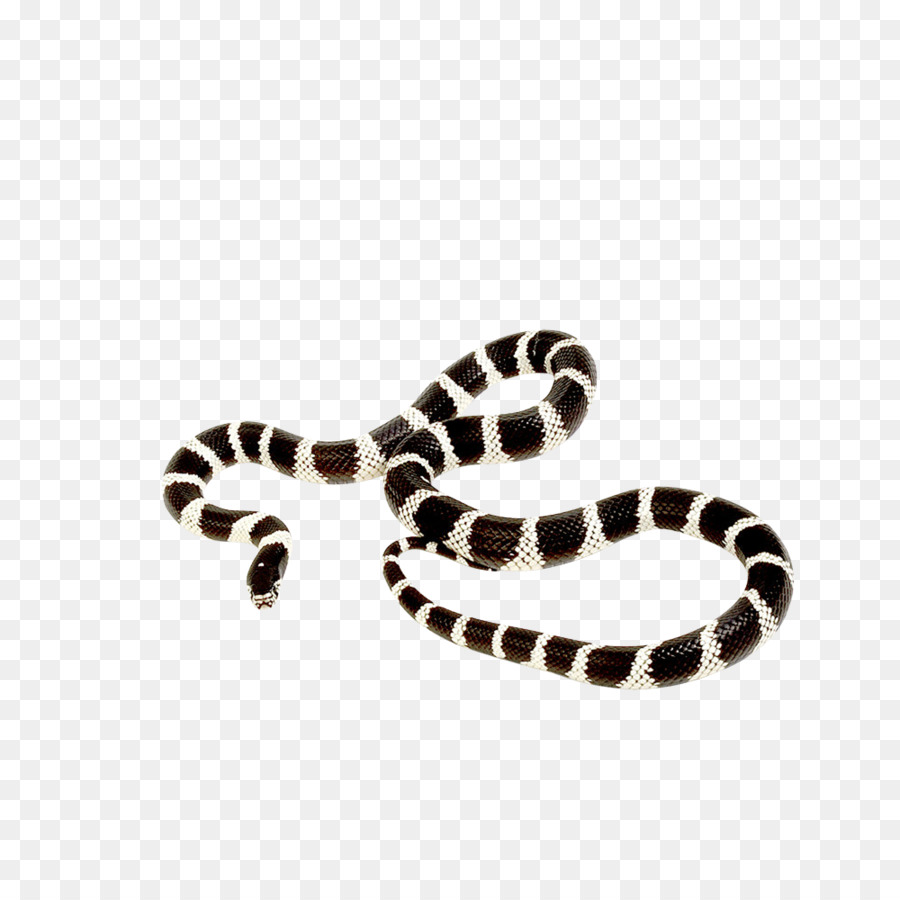 Snake cartoon png download