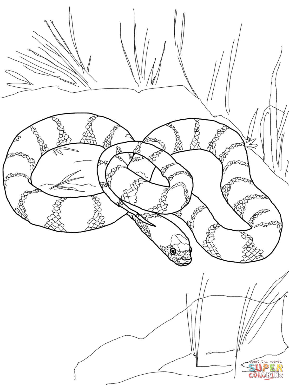 California king snake coloring page free printable coloring pages