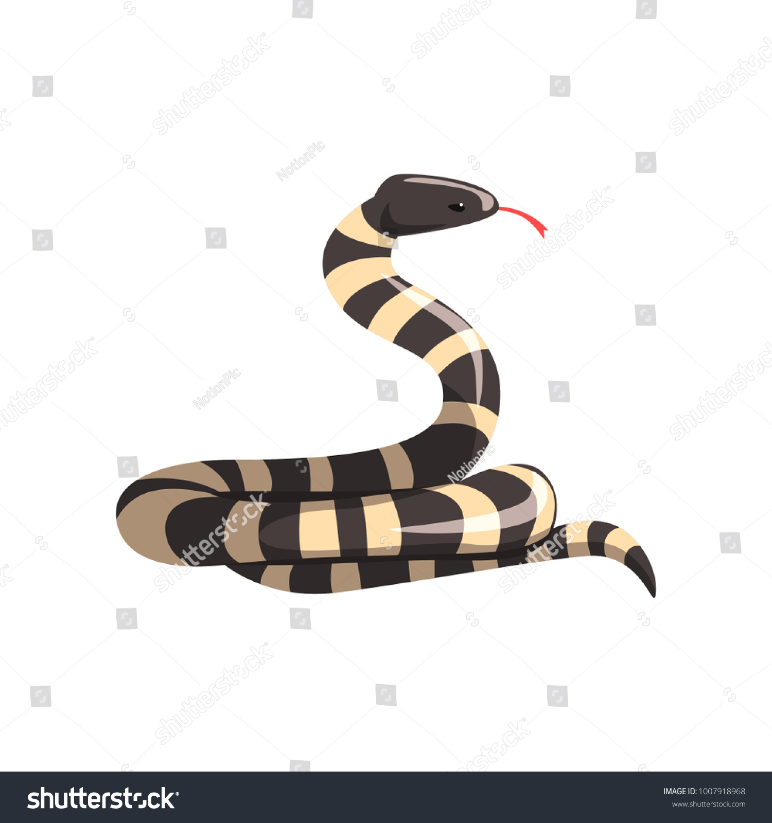 Serpiente rey de california con bandas vector de stock libre de regalãas