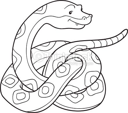 Serpiente snake coloring pages coloring books illustration wall