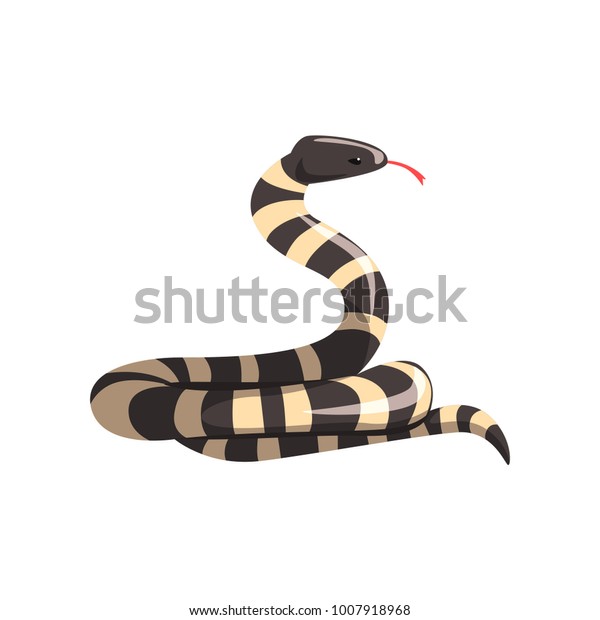 Serpiente rey de california con bandas vector de stock libre de regalãas