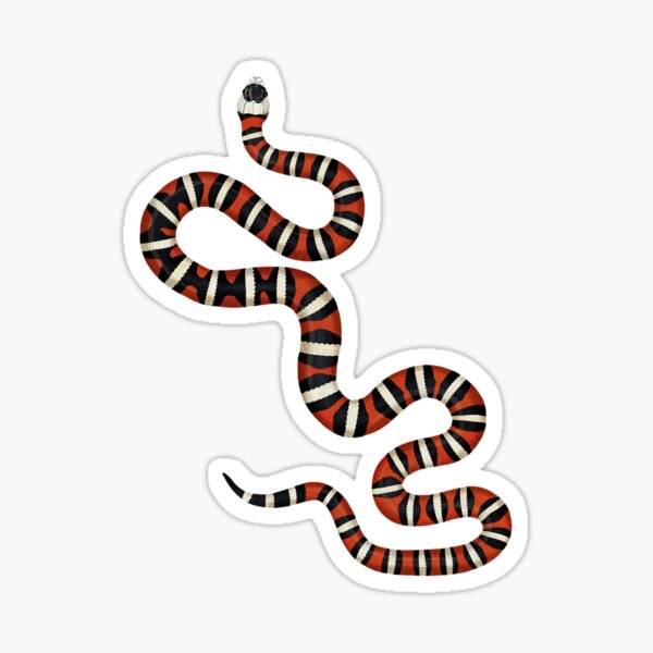 Kingsnake stickers for sale