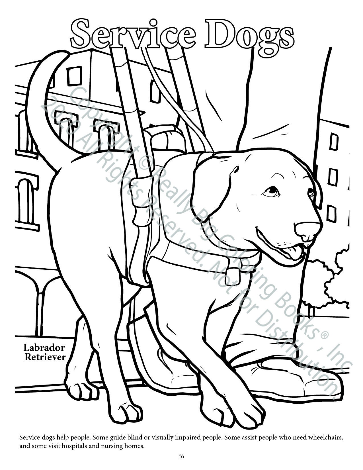 Dog coloring book dogs footed facts coloring and activity book rbcb