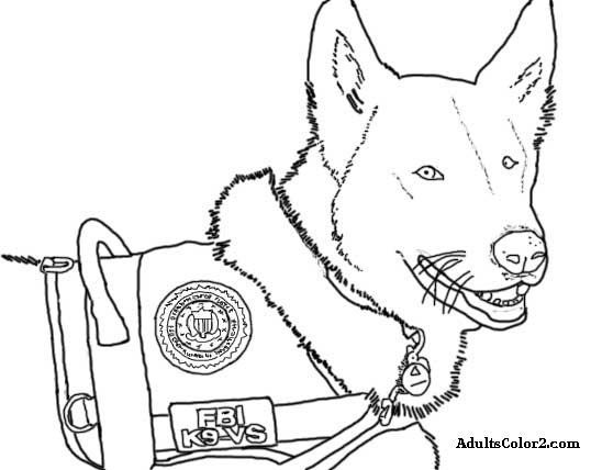 Service dog