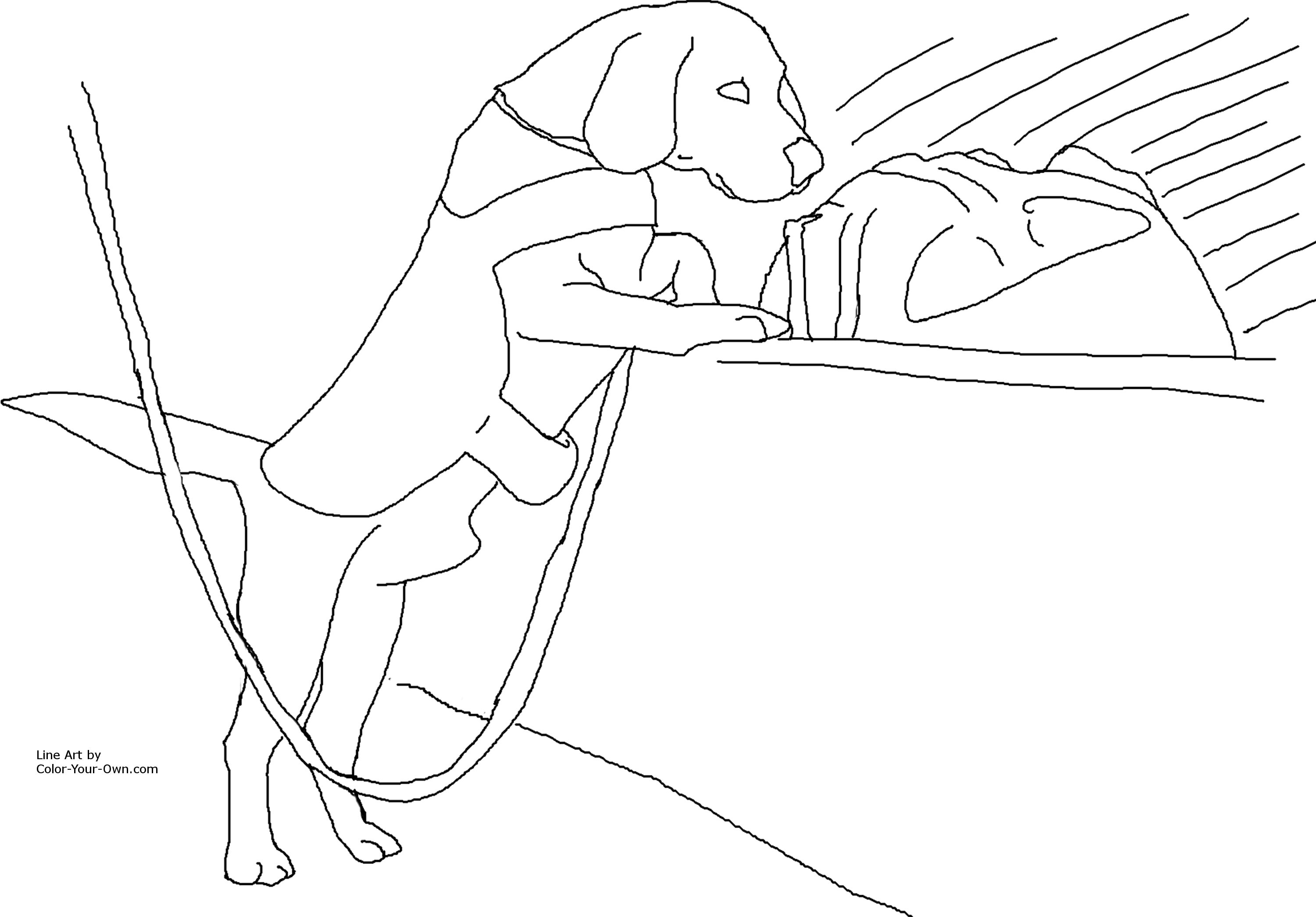 Drug detection service dog coloring page